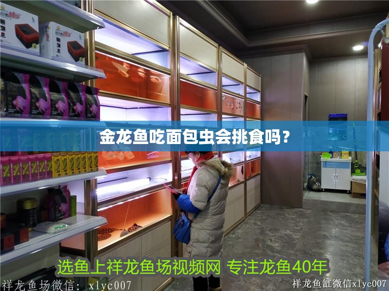 金龍魚吃面包蟲會(huì)挑食嗎？