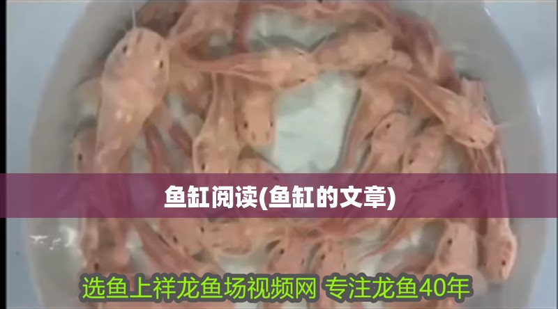 魚缸閱讀(魚缸的文章)