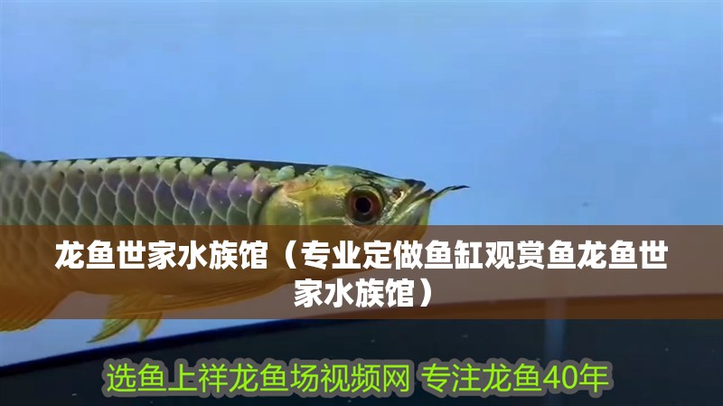龍魚世家水族館（專業定做魚缸觀賞魚龍魚世家水族館）