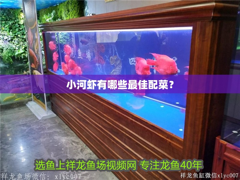 <strong><mark>小河</mark></strong>蝦有哪些最佳配菜？