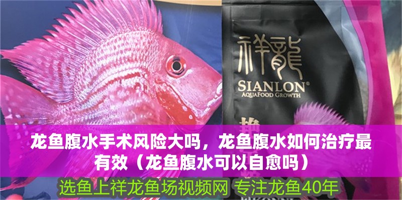 龍魚腹水手術(shù)風險大嗎，龍魚腹水如何治療最有效（龍魚腹水可以自愈嗎）