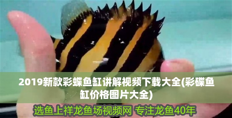 2019新款彩蝶魚(yú)缸講解視頻下載大全(彩碟魚(yú)缸價(jià)格圖片大全)