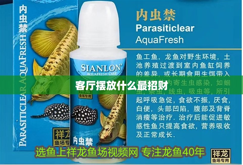 客廳擺放什么最招財