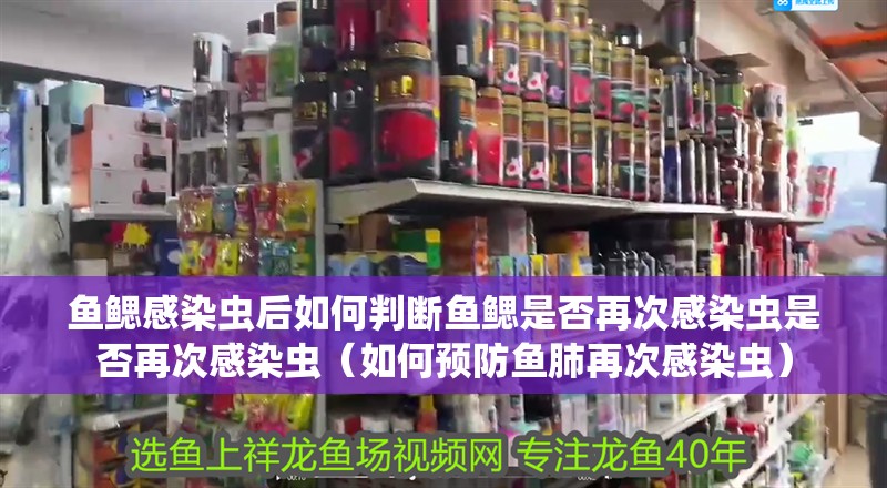 魚鰓感染蟲后如何判斷魚鰓是否再次感染蟲是否再次感染蟲（如何預防魚肺再次感染蟲）