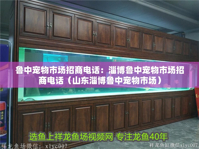 魯中寵物市場招商電話：淄博魯中寵物市場招商電話（山東淄博魯中寵物市場）