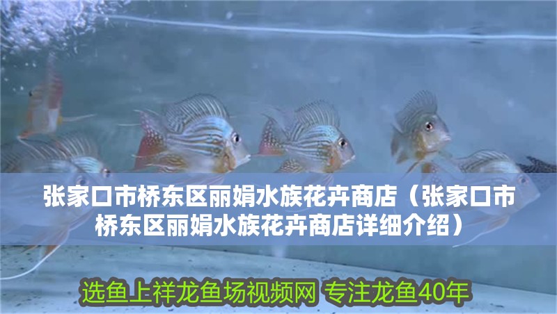 張家口市橋東區麗娟水族花卉商店（張家口市橋東區麗娟水族花卉商店詳細介紹）