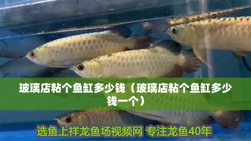 玻璃店粘個(gè)魚缸多少錢（玻璃店粘個(gè)魚缸多少錢一個(gè)）