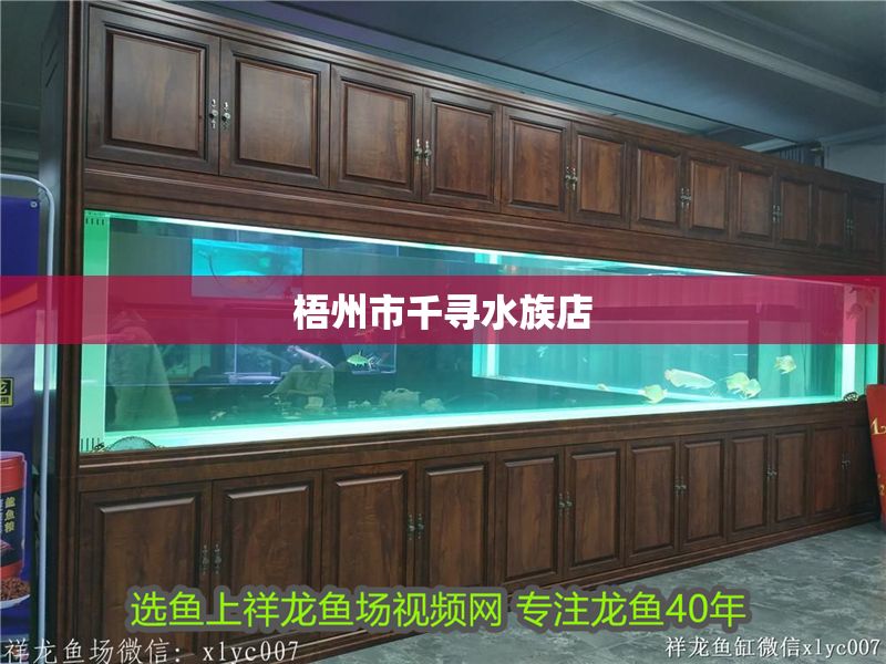梧州市千尋水族店