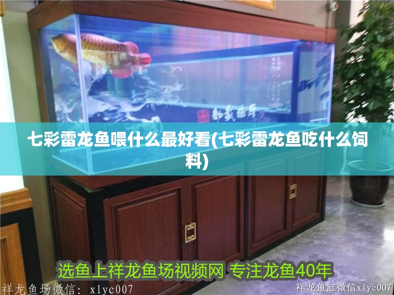 七彩雷龍魚喂什么最好看(七彩雷龍魚吃什么飼料)