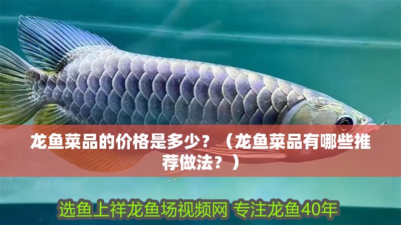 龍魚菜品的價格是多少？（龍魚菜品有哪些推薦做法？）