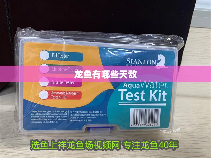 龍魚有哪些天敵