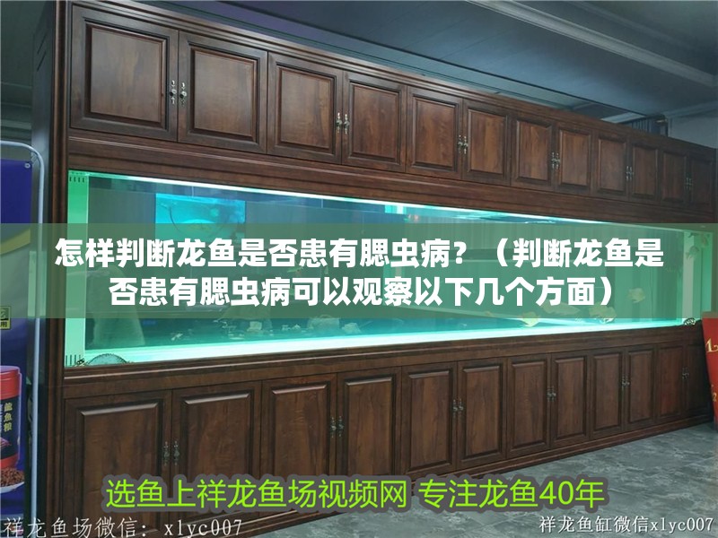 怎樣判斷龍魚(yú)是否患有腮蟲(chóng)病？（判斷龍魚(yú)是否患有腮蟲(chóng)病可以觀察以下幾個(gè)方面）