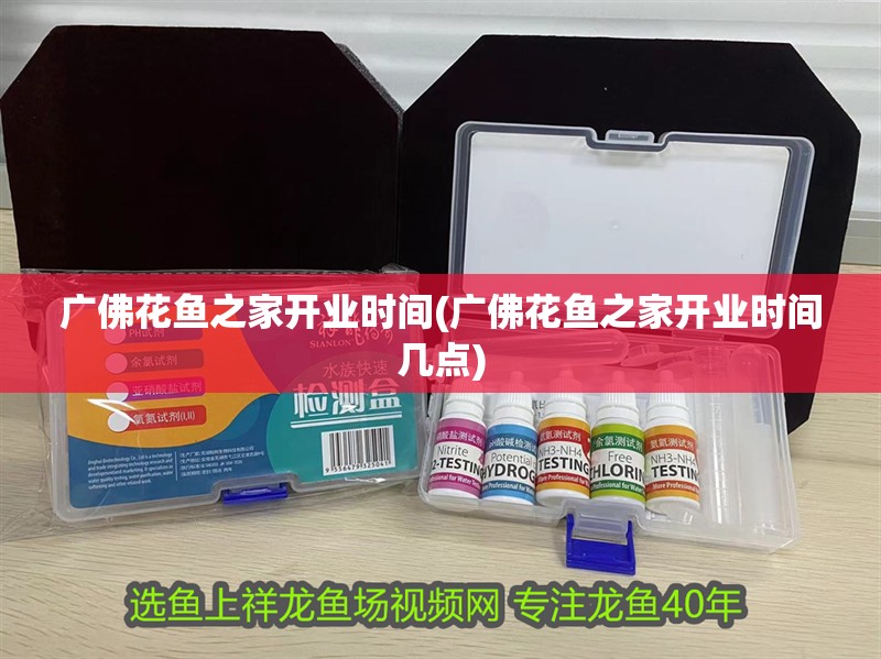 廣佛花魚之家開業時間(廣佛花魚之家開業時間幾點)