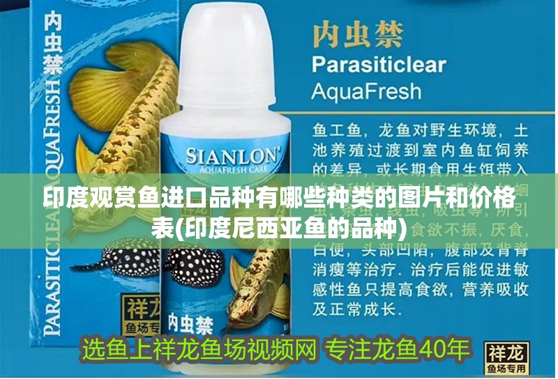 印度觀賞魚進口品種有哪些種類的圖片和價格表(印度尼西亞魚的品種) 印度觀賞魚進口品種有哪些種類的圖片和價格表(印度尼西亞魚的品種) 觀賞魚百科