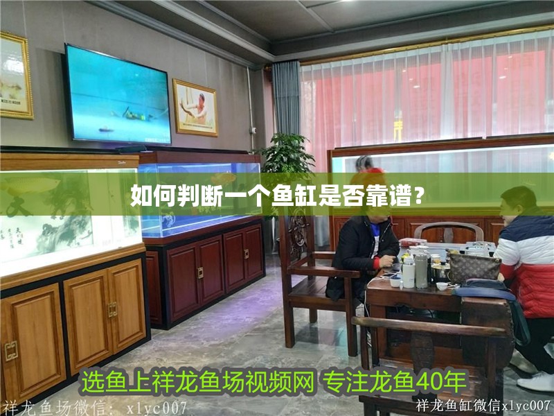 如何判斷一個魚缸是否靠譜？