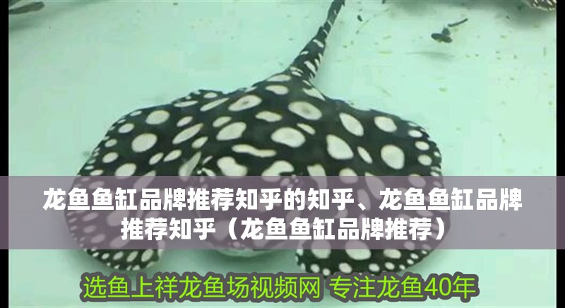 龍魚魚缸品牌推薦知乎的知乎、龍魚魚缸品牌推薦知乎（龍魚魚缸品牌推薦）