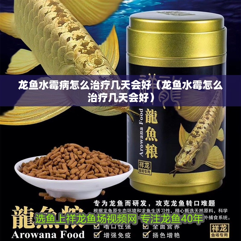 龍魚水霉病怎么治療幾天會(huì)好（龍魚水霉怎么治療幾天會(huì)好）