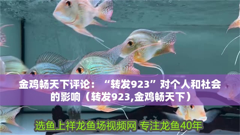 金雞暢天下評論：“轉發923”對個人和社會的影響（轉發923,金雞暢天下）