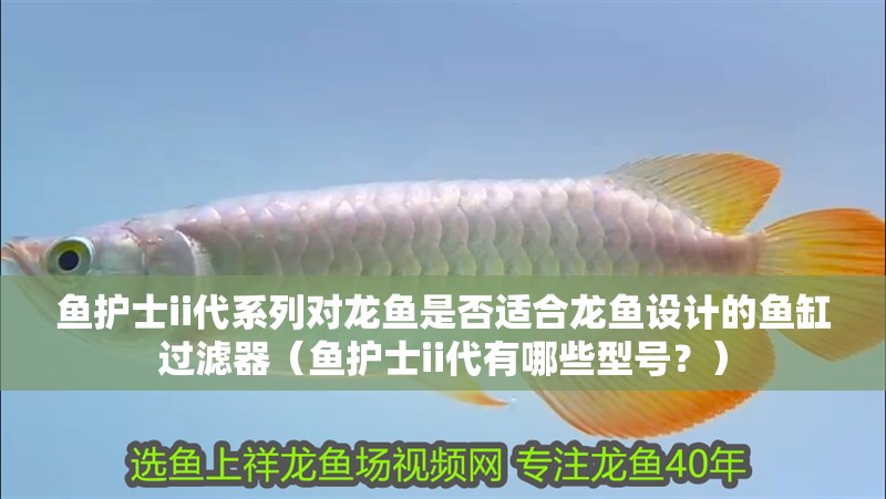 魚護士ii代系列對龍魚是否適合龍魚設(shè)計的魚缸過濾器（魚護士ii代有哪些型號？）