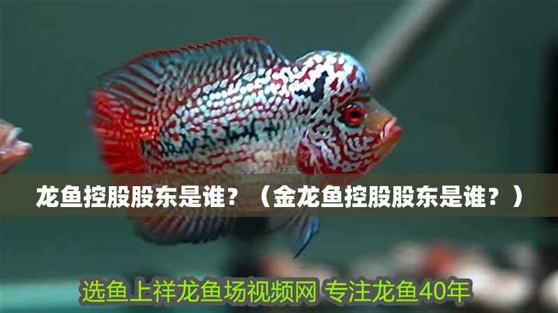 龍魚控股股東是誰？（金龍魚控股股東是誰？）