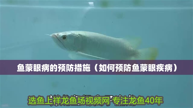 魚蒙眼病的預防措施（如何預防魚蒙眼疾病）