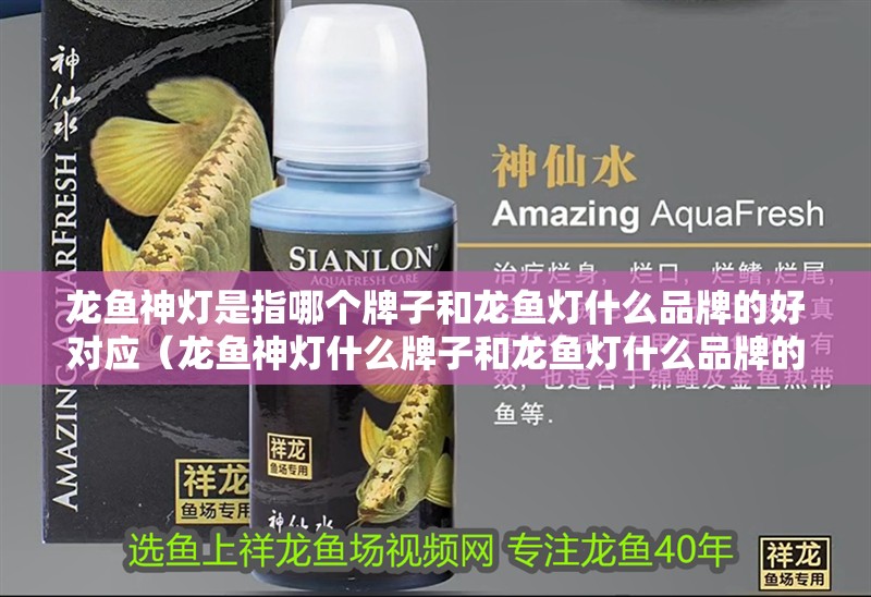 龍魚神燈是指哪個牌子和龍魚燈什么品牌的好對應(yīng)（龍魚神燈什么牌子和龍魚燈什么品牌的好，龍魚燈什么牌子好） 龍魚神燈是指哪個牌子和龍魚燈什么品牌的好對應(yīng)（龍魚神燈什么牌子和龍魚燈什么品牌的好，龍魚燈什么牌子好） 觀賞魚百科