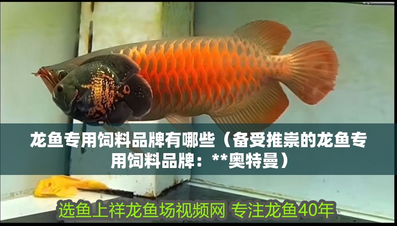 龍魚專用飼料品牌有哪些（備受推崇的龍魚專用飼料品牌：**奧特曼）