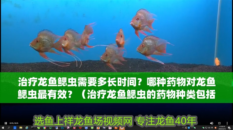 治療龍魚鰓蟲需要多長時間？哪種藥物對龍魚鰓蟲最有效？（治療龍魚鰓蟲的藥物種類包括：阿莫<strong><mark>西林</mark></strong>，阿莫<strong><mark>西林</mark></strong>）