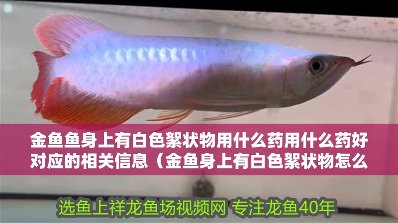金魚(yú)魚(yú)身上有白色絮狀物用什么藥用什么藥好對(duì)應(yīng)的相關(guān)信息（金魚(yú)身上有白色絮狀物怎么辦）