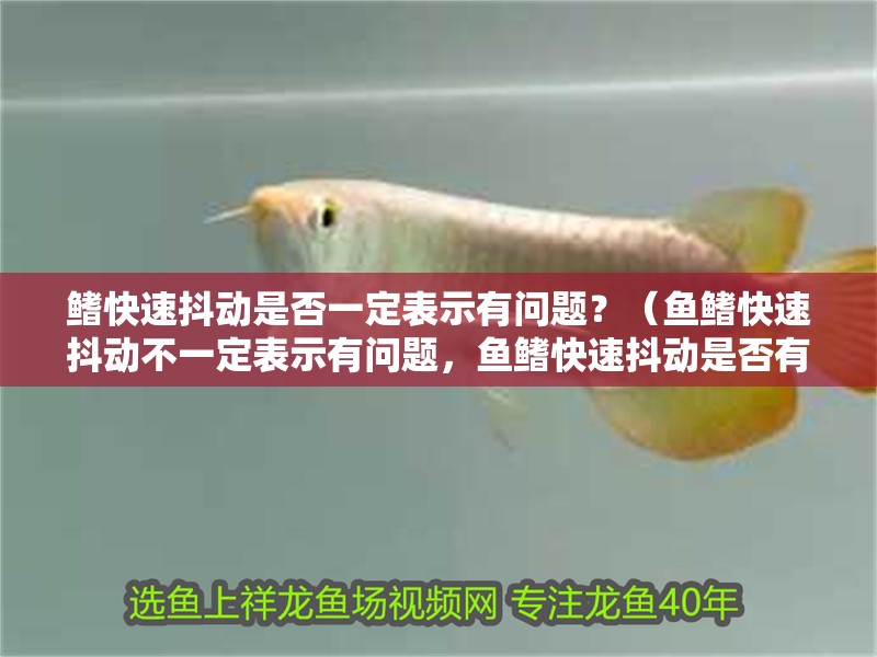 鰭快速抖動是否一定表示有問題？（魚鰭快速抖動不一定表示有問題，魚鰭快速抖動是否有問題）