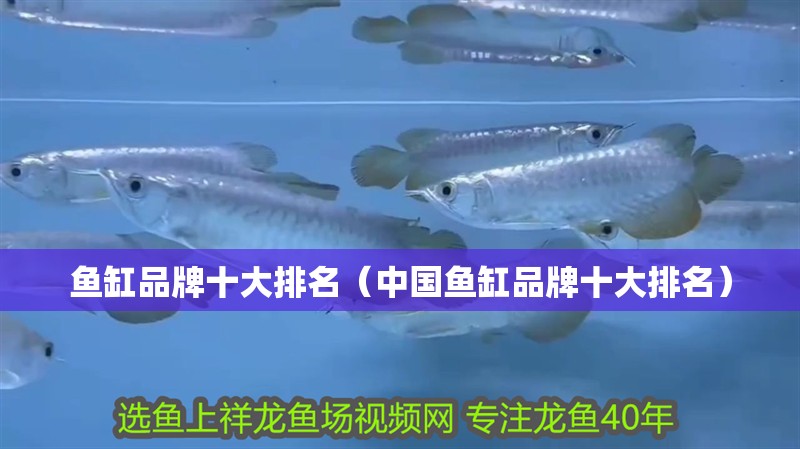 魚缸品牌十大排名（中國魚缸品牌十大排名）
