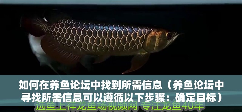 如何在養(yǎng)魚論壇中找到所需信息（養(yǎng)魚論壇中尋找所需信息可以遵循以下步驟：確定目標）