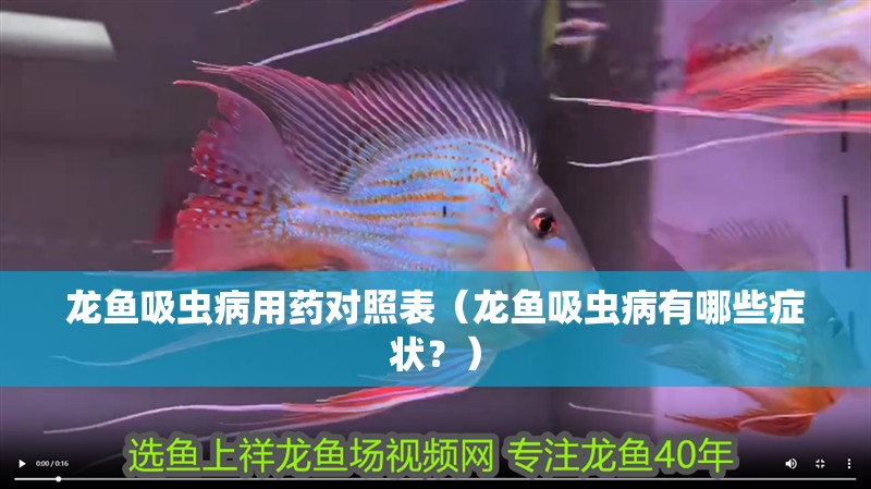 龍魚吸蟲病用藥對照表（龍魚吸蟲病有哪些癥狀？）