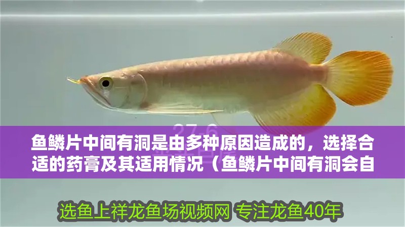 魚鱗片中間有洞是由多種原因造成的，選擇合適的藥膏及其適用情況（魚鱗片中間有洞會自愈嗎？）