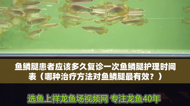 魚鱗腿患者應該多久復診一次魚鱗腿護理時間表（哪種治療方法對魚鱗腿最有效？）