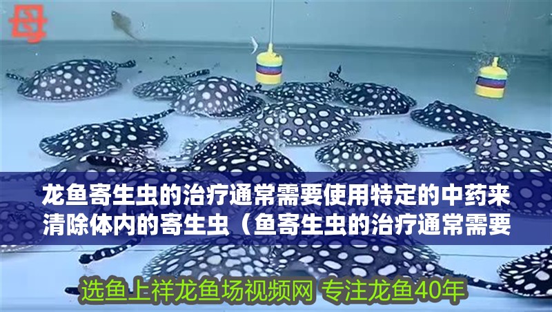 龍魚寄生蟲的治療通常需要使用特定的中藥來清除體內的寄生蟲（魚寄生蟲的治療通常需要使用特定的中藥來清除體內寄生蟲）