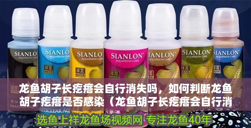 龍魚胡子長疙瘩會自行消失嗎，如何判斷龍魚胡子疙瘩是否感染（龍魚胡子長疙瘩會自行消失嗎） 龍魚胡子長疙瘩會自行消失嗎，如何判斷龍魚胡子疙瘩是否感染（龍魚胡子長疙瘩會自行消失嗎） 龍魚百科