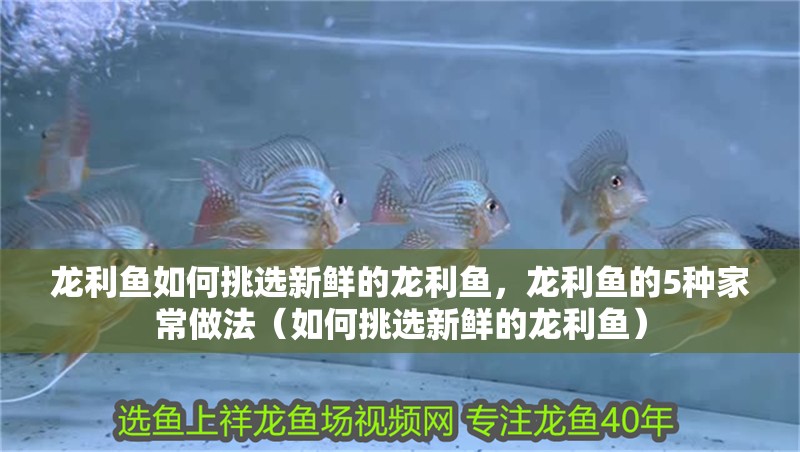 龍利魚如何挑選新鮮的龍利魚，龍利魚的5種家常做法（如何挑選新鮮的龍利魚）
