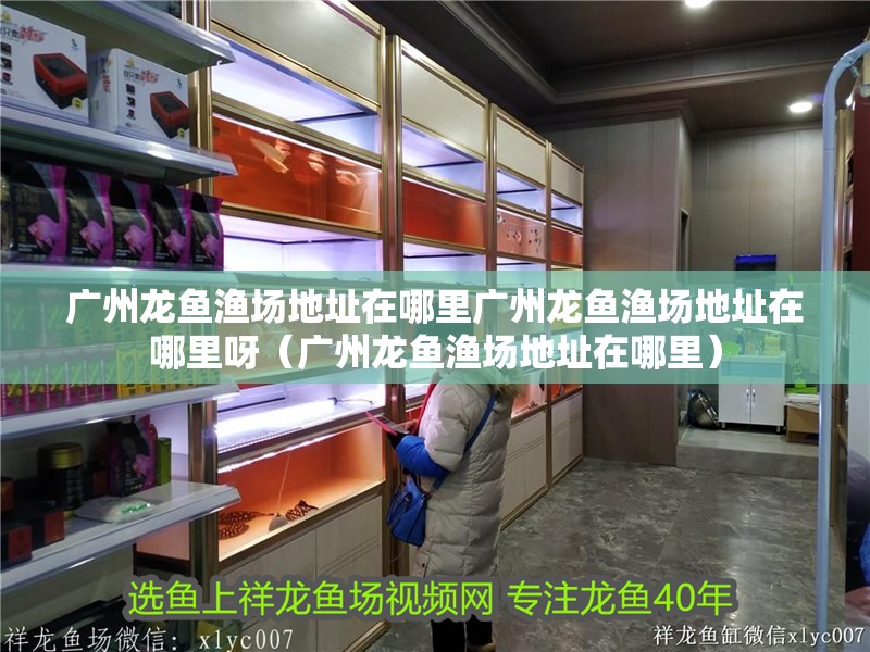 廣州龍魚漁場(chǎng)地址在哪里廣州龍魚漁場(chǎng)地址在哪里呀（廣州龍魚漁場(chǎng)地址在哪里）