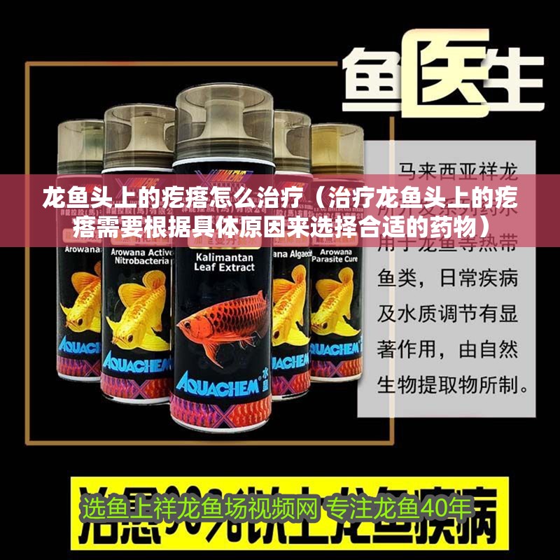 龍魚頭上的疙瘩怎么治療（治療龍魚頭上的疙瘩需要根據(jù)具體原因來選擇合適的藥物）