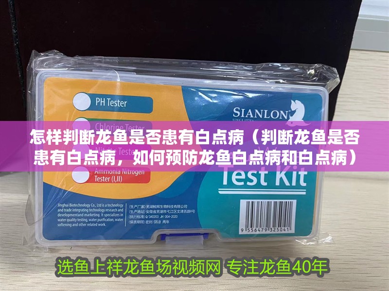 怎樣判斷龍魚(yú)是否患有白點(diǎn)病（判斷龍魚(yú)是否患有白點(diǎn)病，如何預(yù)防龍魚(yú)白點(diǎn)病和白點(diǎn)病）