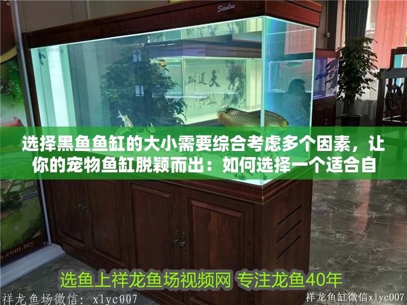 選擇黑魚魚缸的大小需要綜合考慮多個因素，讓你的寵物魚缸脫穎而出：如何選擇一個適合自己的魚缸