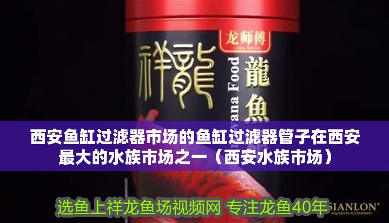<strong><mark>西安</mark></strong>魚缸過濾器市場的魚缸過濾器管子在<strong><mark>西安</mark></strong>最大的水族市場之一（<strong><mark>西安</mark></strong>水族市場）