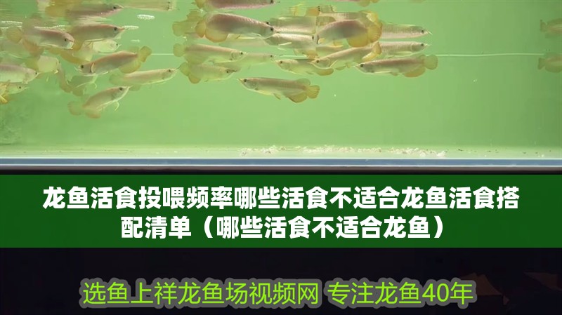 龍魚活食投喂頻率哪些活食不適合龍魚活食搭配清單（哪些活食不適合龍魚）