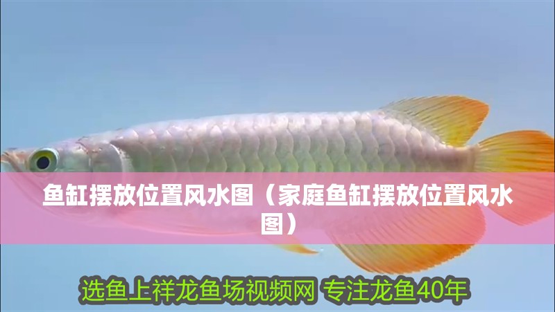 魚缸擺放位置風水圖（家庭魚缸擺放位置風水圖）