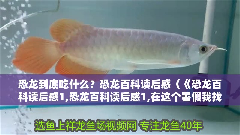 恐龍到底吃什么？恐龍百科讀后感（《恐龍百科讀后感1,恐龍百科讀后感1,在這個(gè)暑假我找到了一本）