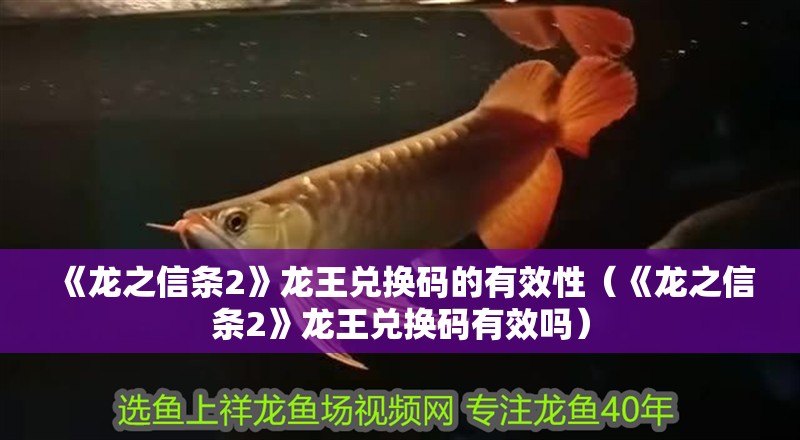 《龍之信條2》龍王兌換碼的有效性（《龍之信條2》龍王兌換碼有效嗎）