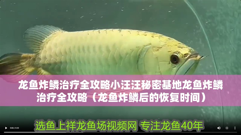 龍魚炸鱗治療全攻略小汪汪秘密基地龍魚炸鱗治療全攻略（龍魚炸鱗后的恢復(fù)時間）