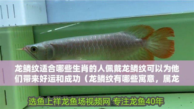 龍鱗紋適合哪些生肖的人佩戴龍鱗紋可以為他們帶來(lái)好運(yùn)和成功（龍鱗紋有哪些寓意，屬龍的人紋龍鱗紋需要注意什么）