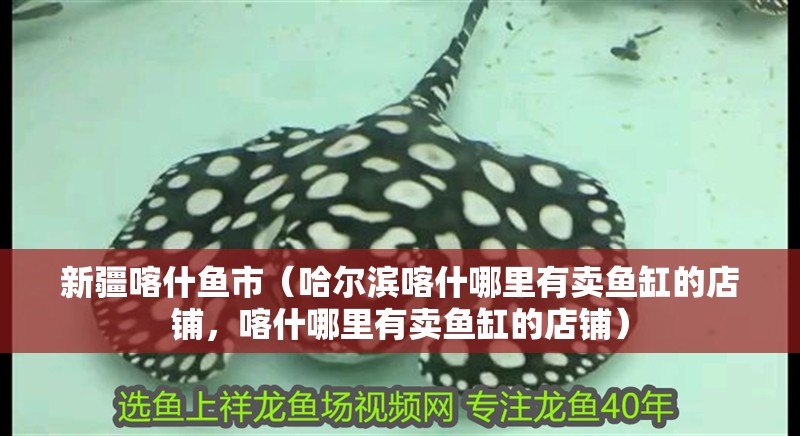 新疆喀什魚市（哈爾濱喀什哪里有賣魚缸的店鋪，喀什哪里有賣魚缸的店鋪）